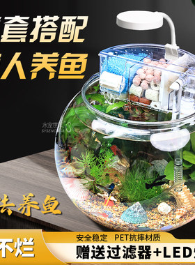 桌面生态鱼缸古法养鱼摔不烂