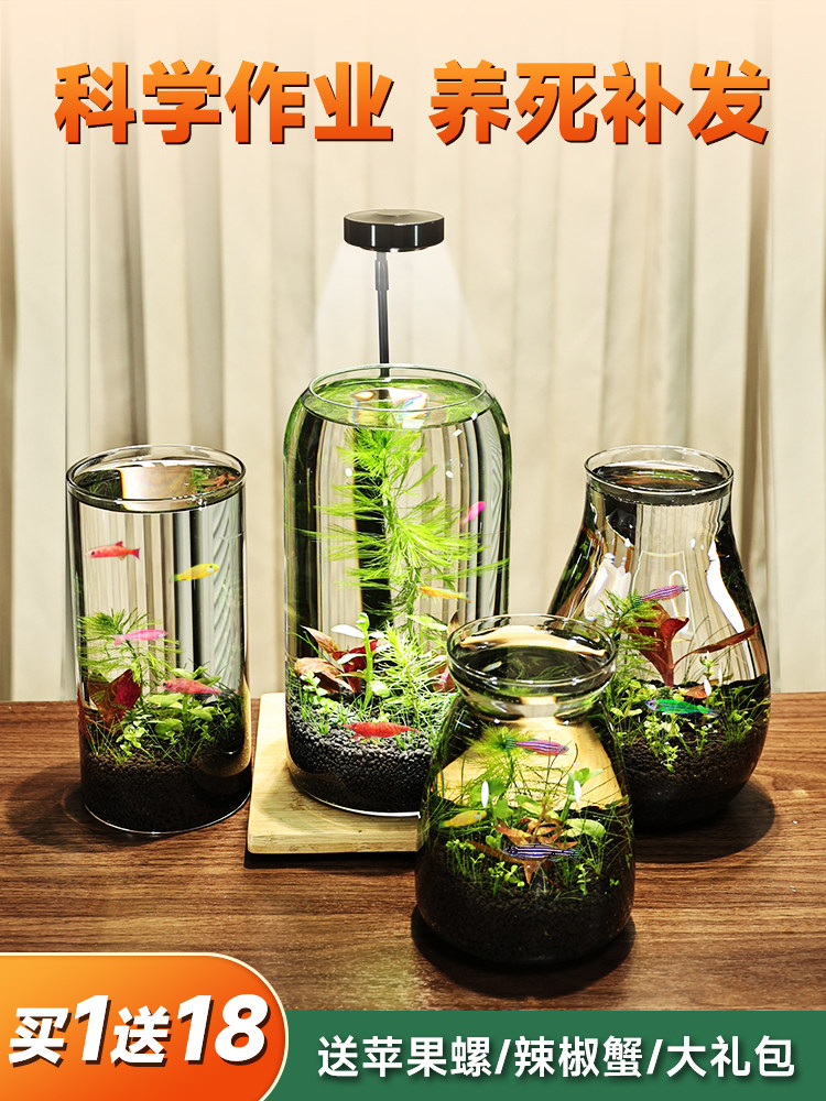 带LED灯迷你水族箱创意diy生态瓶鱼微景观办公桌面小型玻璃鱼缸