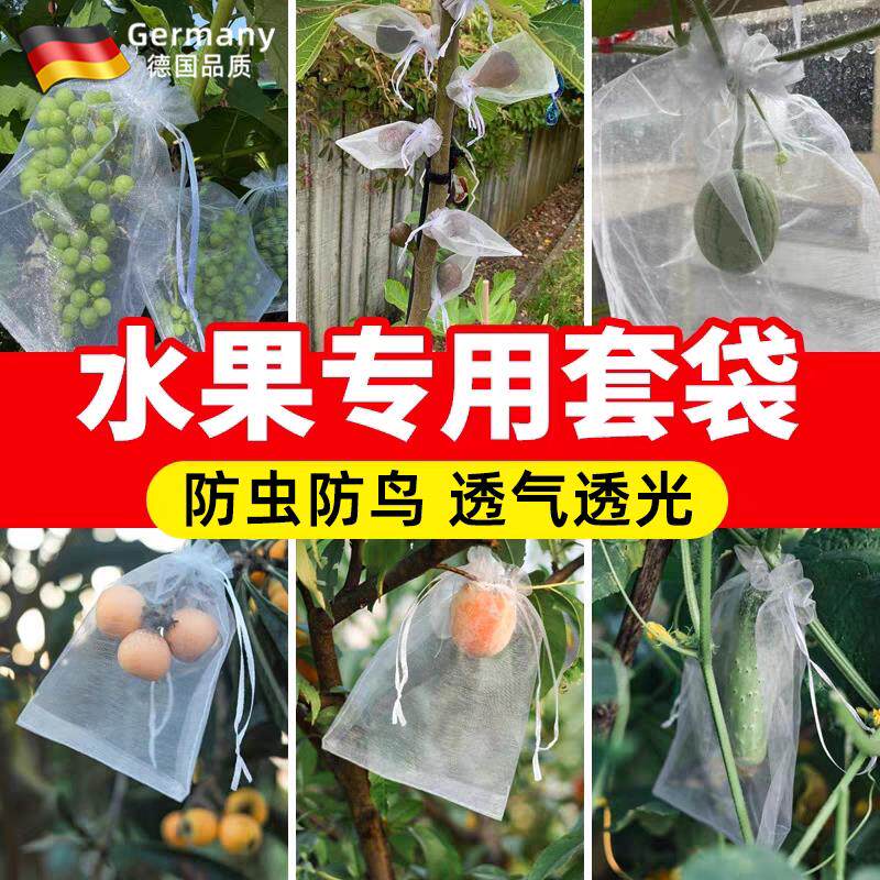 水果套袋防虫防鸟专用网袋葡萄桃子石榴芒果草莓无花果通用网纱袋