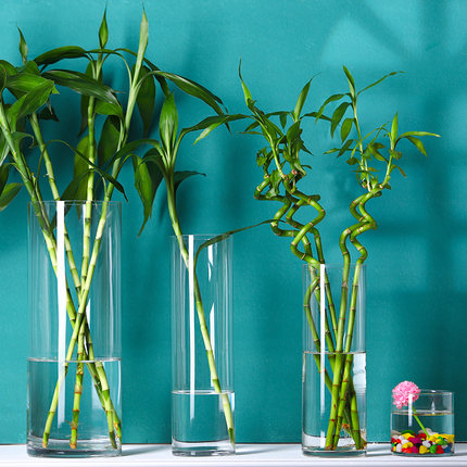 玻璃花瓶落地客厅桌面摆件插花干燥花北欧透明直筒水培富贵竹水培
