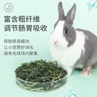 大麦草段兔兔豚鼠荷兰猪粮食天竺鼠干草龙猫牧草饲料1包100克 包邮