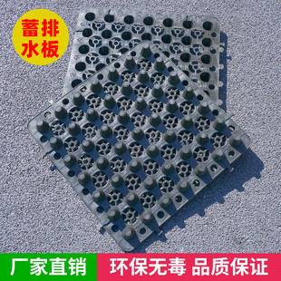 蓄排水板车库顶板排水板楼顶花园凹凸型塑料阻根防水排水板滤水板