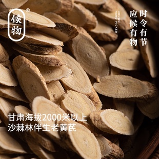 候物 2.0cm 岷县野培黄芪200g厚片2025年新货精选北芪煮水煲汤1.4
