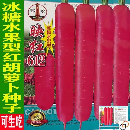 冰糖水果胡萝卜种子农家甜脆水果萝卜种籽夏秋季庭院种植蔬菜种孑