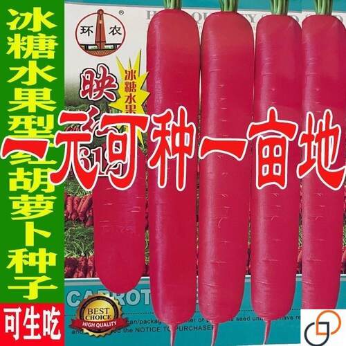 冰糖胡萝卜种子生吃脆甜水果萝卜种籽夏秋季农家盆栽地栽蔬菜种子