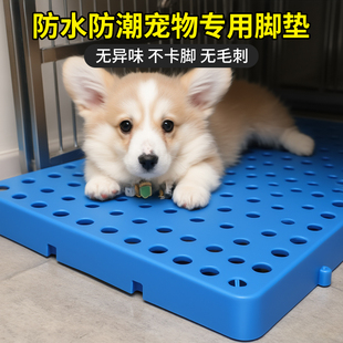 防潮拼接塑料垫板加高托盘宠物脚垫猫狗垫子仓库地台货品物流卡板