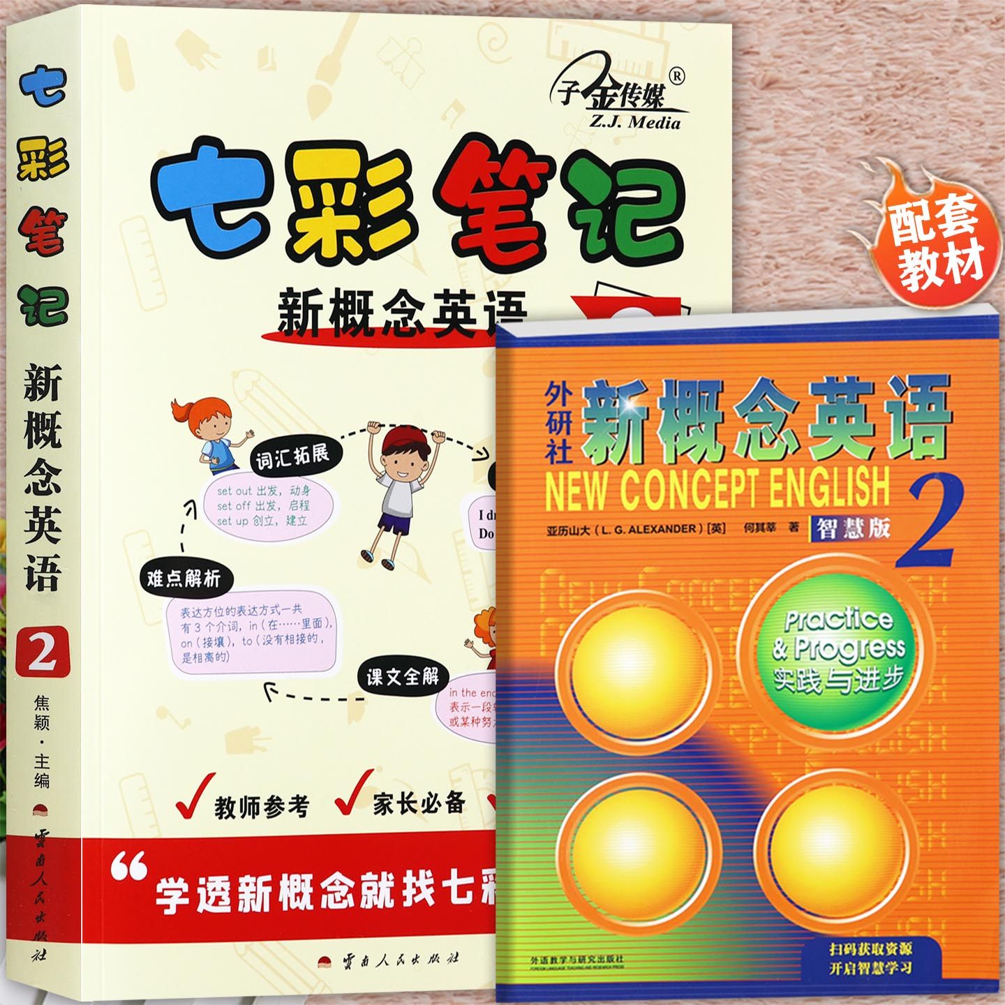 赠音频七彩新概念英语2课堂笔记新概念2教材全解课本完全解读子金朗文外研社新概念英语第二册教师教学参考书新概念英语2详解笔记