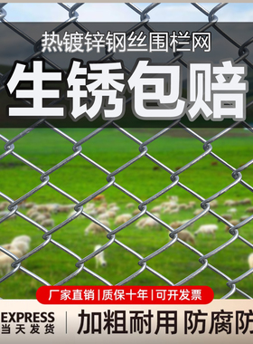 镀锌铁丝网钢丝网网格围栏栅栏户外护栏网家用养殖拦鸡网菜园防护