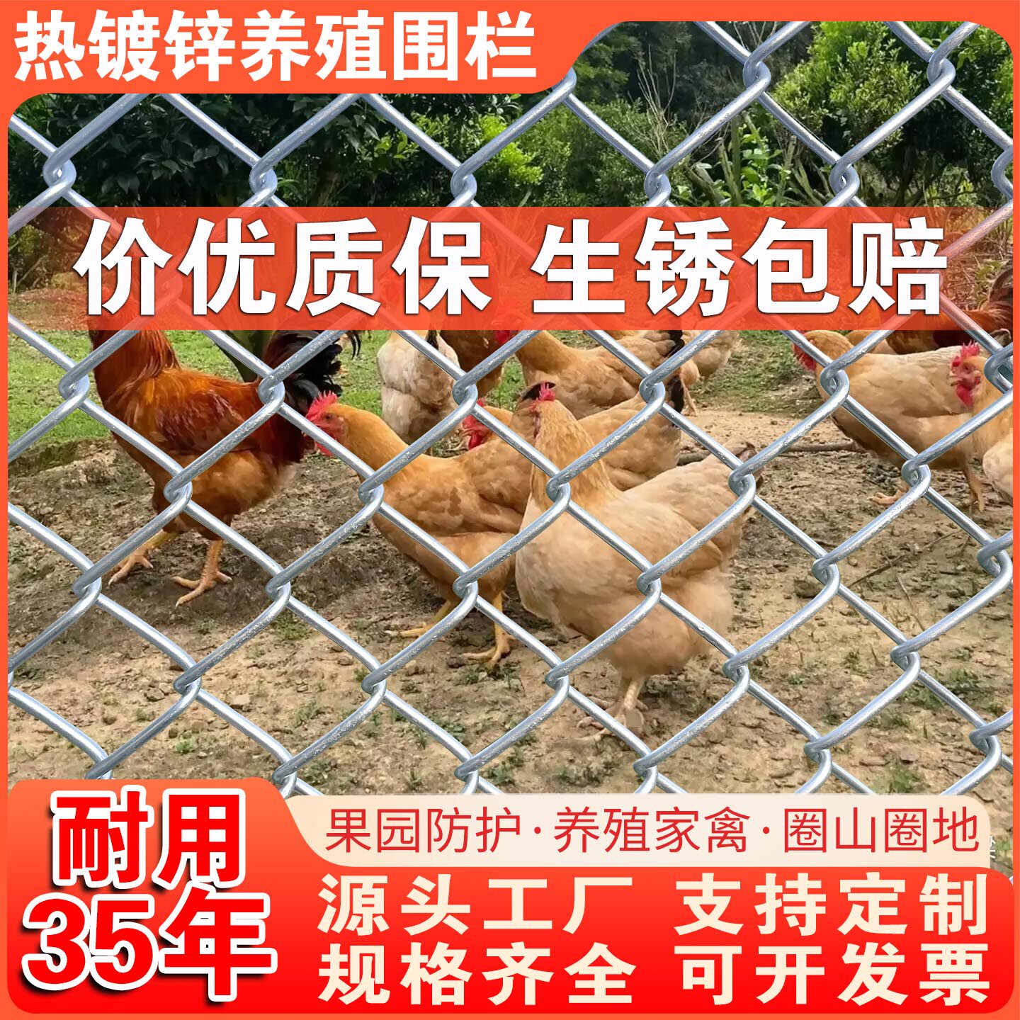 镀锌铁丝网钢丝网网格围栏栅栏户外护栏网家用养殖拦鸡网菜园防护