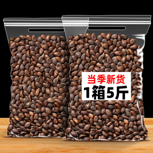 云南生松子散装新鲜原味孕妇非东北开 口松树籽松仁手剥落水黑松