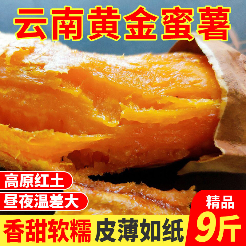 云南红薯地瓜9斤建水高原烤番薯红土黄金蜜薯新鲜蔬菜健身主食|msdalam kategori daging perikanan/Buah-buahan segar dan sayur-sayuran/dimasak, sayur-sayuran segar/Vegetable Products, sayur-sayuran segar, ubi keledek - dari Buy2taobao.com untuk memberikan perkhidmatan ejen Taobao profesional membeli
