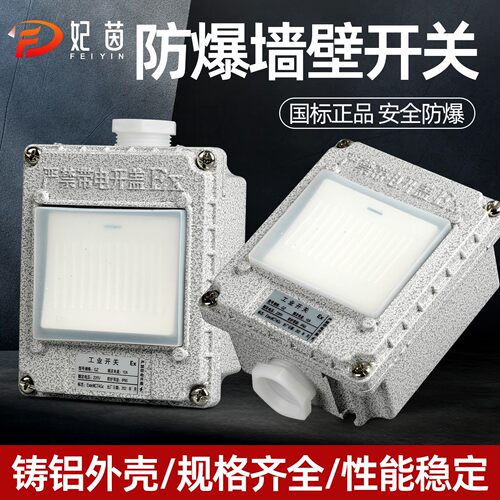 防爆墙壁开关熔断路器86型明装单开双开10A 20A厂房车间220V 380V