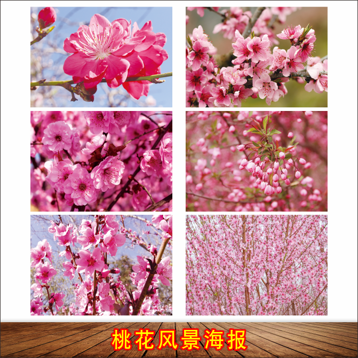 桃花风景壁画客厅桃花装饰画卧室贴墙画花卉海报定制桃花好运海报