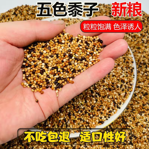 鹦鹉鸟粮饲料带壳黄谷子五色黍子