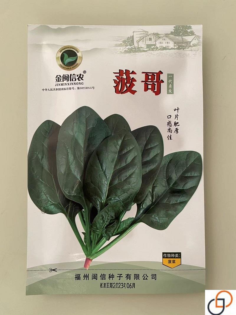 大叶菠菜种子四季蔬菜冬季籽种冬天种籽耐寒菜种盆栽波菜孑菜籽子