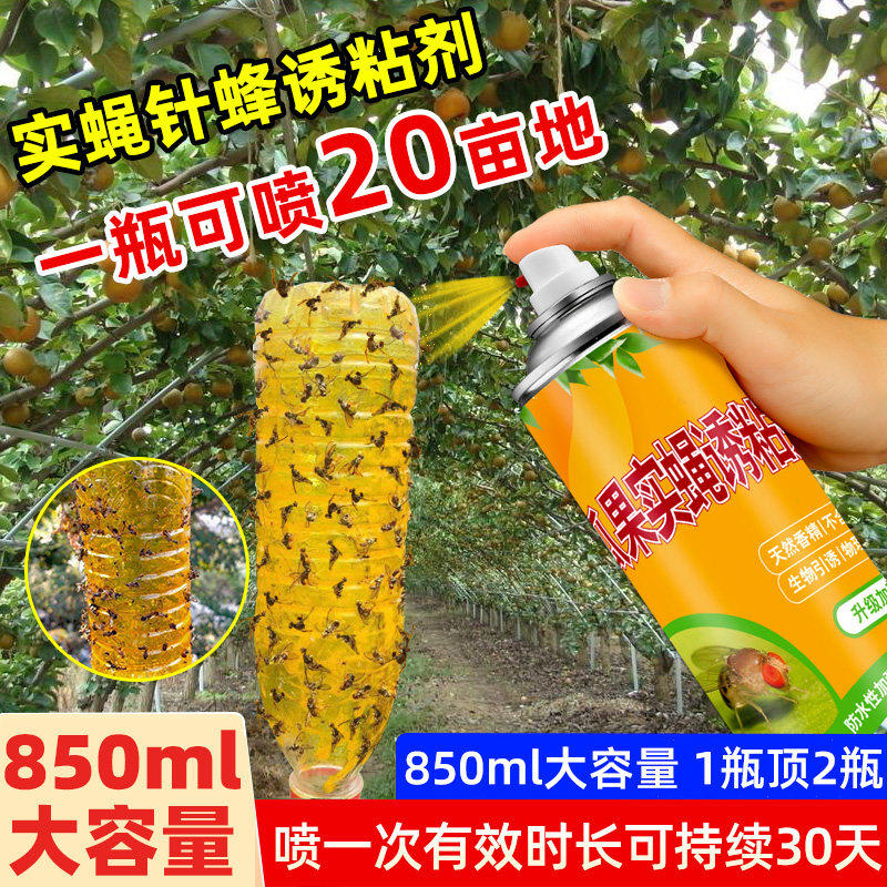 瓜果实蝇诱粘剂果蝇诱捕器灭针蜂专用药果树杀虫剂神器针蜂引诱剂