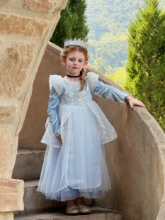 高定女童灰姑娘公主裙儿童蓝色蓬蓬长袖纱裙洋气小女孩丝绒连衣裙