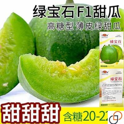 绿宝石甜瓜种子薄皮超甜香瓜种子春季四季脆瓜早熟高产香瓜籽