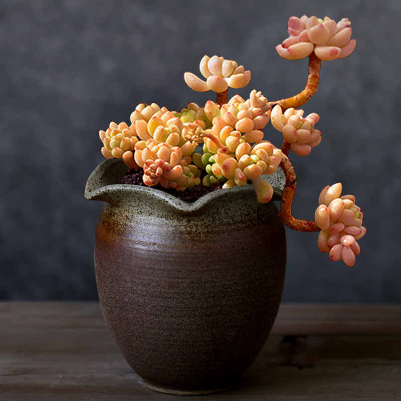 陶约素烧透气复古风创意多肉花盆