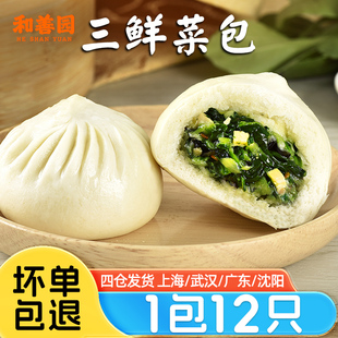 和善园三鲜菜包960g速食营养早餐半成品素包家庭商用新鲜速冻包子