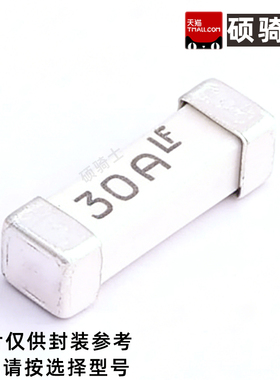 10*3MM贴片保险丝15A 20A 25A 30A 250V 大电流保险丝 463