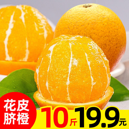 【直播间福利】重庆花皮脐橙老品种原生态水果带箱10斤有大有小