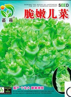 儿熟菜种子川特产IHH四季播四娃娃菜蔬抱子芥菜秋季菜种子早易种