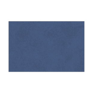 地垫高级感加厚玄关门口脚垫蓝色可定制入户门垫可裁剪定制全铺