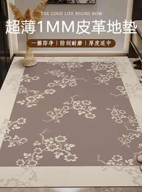 入户门地垫超薄1mm进门不卡门门垫防滑可擦洗玄关地毯pvc防滑脚垫