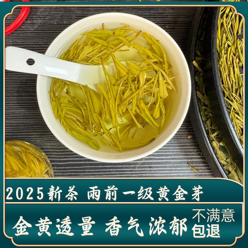 2025新茶正宗黃金芽雨前一級濃香500g散裝禮盒高山綠茶黃金茶葉