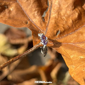 妹妹说紫色很有韵味 原创枯枝尾戒男女纯银小拇指戒子小指高级感