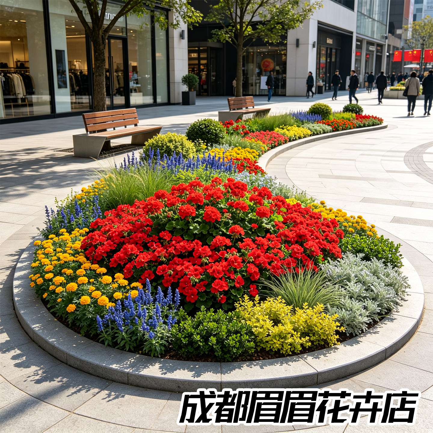 牵牛花花苗矮牵牛盆栽喇叭花一串红四季花种带花苞孔雀草工程草花图片