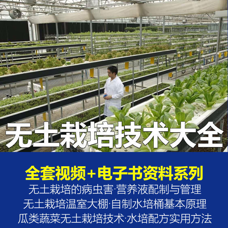 无土栽培视频教程蔬菜无土栽培教程原理无土种植栽培视频技术资料