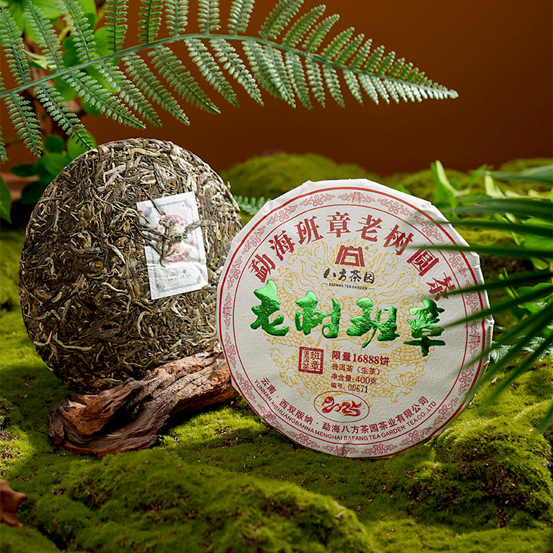 八方茶园 2025老树班章普洱生茶400g