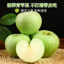 玉林 包邮 青苹果新鲜水果10斤当季 现摘丑萍果整箱孕妇酸脆绿小平果