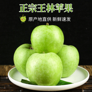 正宗王林青苹果当季 新鲜水果脆甜10青森斤绿苹果青蜜王琳雀斑玉林