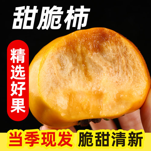新鲜现摘巧克力脆柿即食不涩口