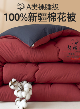 A类新疆棉花被春秋被家用空调被加厚冬被学生宿舍被子芯四季通用