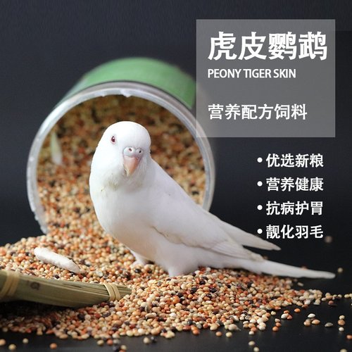 专用谷子带壳五色玄凤粮食饲料
