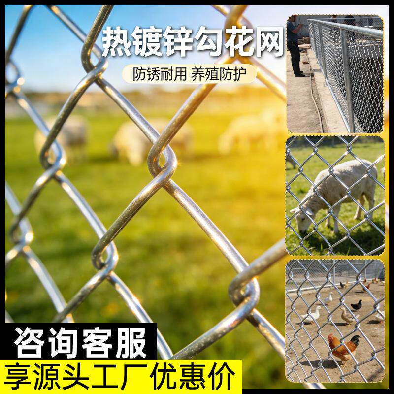 勾花网护栏养殖隔离钢丝网围栏狗笼子球场围网矿用户外镀锌丝铁网
