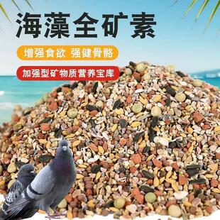 德飞尔海藻全矿素信鸽观赏鸽保健砂矿石贝壳桶装可加五谷杂粮