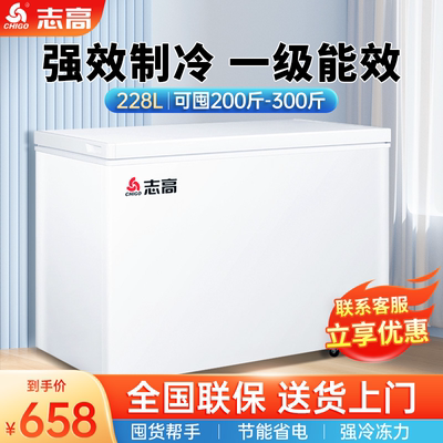 志高冰柜商用大容量铜管一级能效