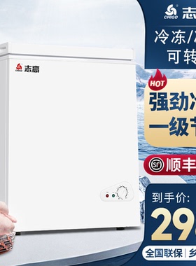 志高小冰柜家用冷冻冷藏两用卧式小型迷你商用大容量无霜保鲜冷柜