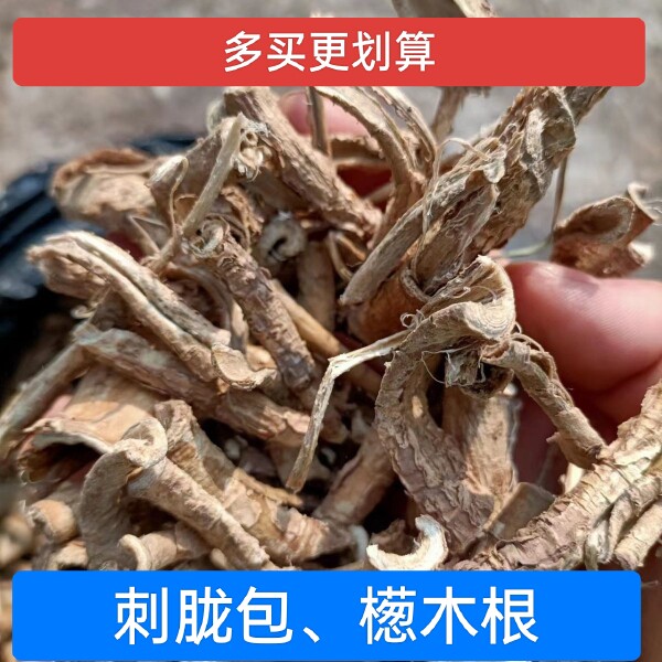 鸟不宿中药材雀不站楤木葱木鸟不落忽木刺老包新鲜产地四川