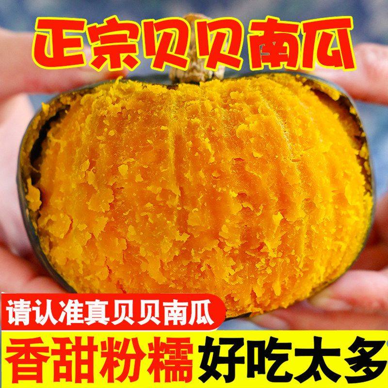 宝宝香甜南瓜新鲜山东正宗蔬菜婴儿南瓜辅食麻籽粉糯小贝贝板栗,水产肉类/新鲜蔬果/熟食,其它,淘宝优惠券,粉丝福利购,淘宝优惠卷