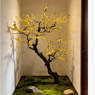 仿真黄色腊梅树梅花树大型假树室内外装饰许愿树商场酒店欢庆造景