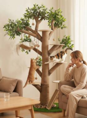 实木猫爬架耐磨不粘毛防腐原木枯树干大型猫窝网红猫爬树宠物跳台