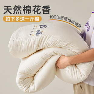 100%新疆棉花纯棉被子被芯春秋冬季 双人全棉被褥150x200x230cm