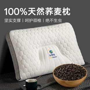 纯荞麦壳填充护颈枕头睡觉专用成人硬枕芯单人一只装不塌陷不变形