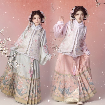 汉服女明制比甲琵琶袖马面裙套装